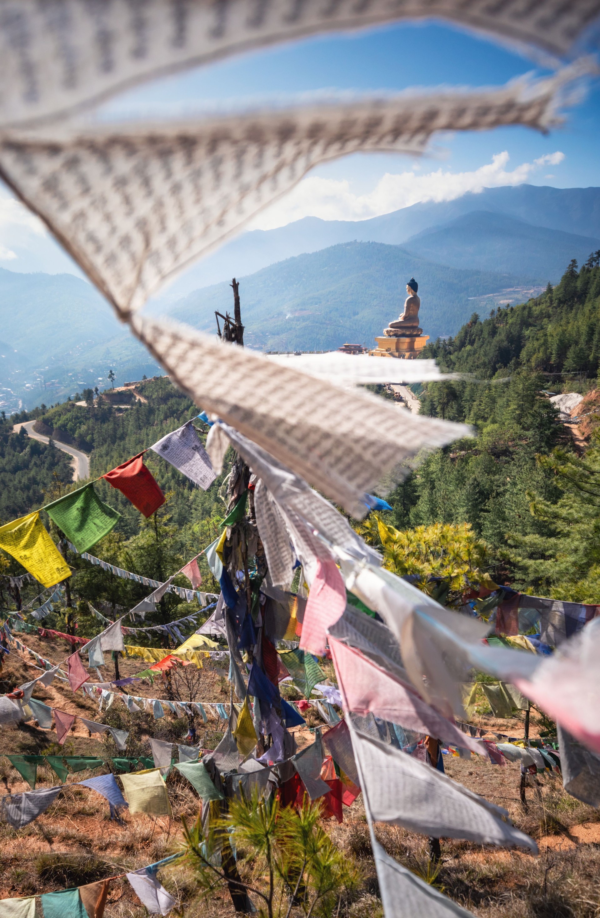 Explore Bhutan with our curated itineraries. From 5-day cultural trips to 14-day treks, discover the perfect Bhutan adventure for you.